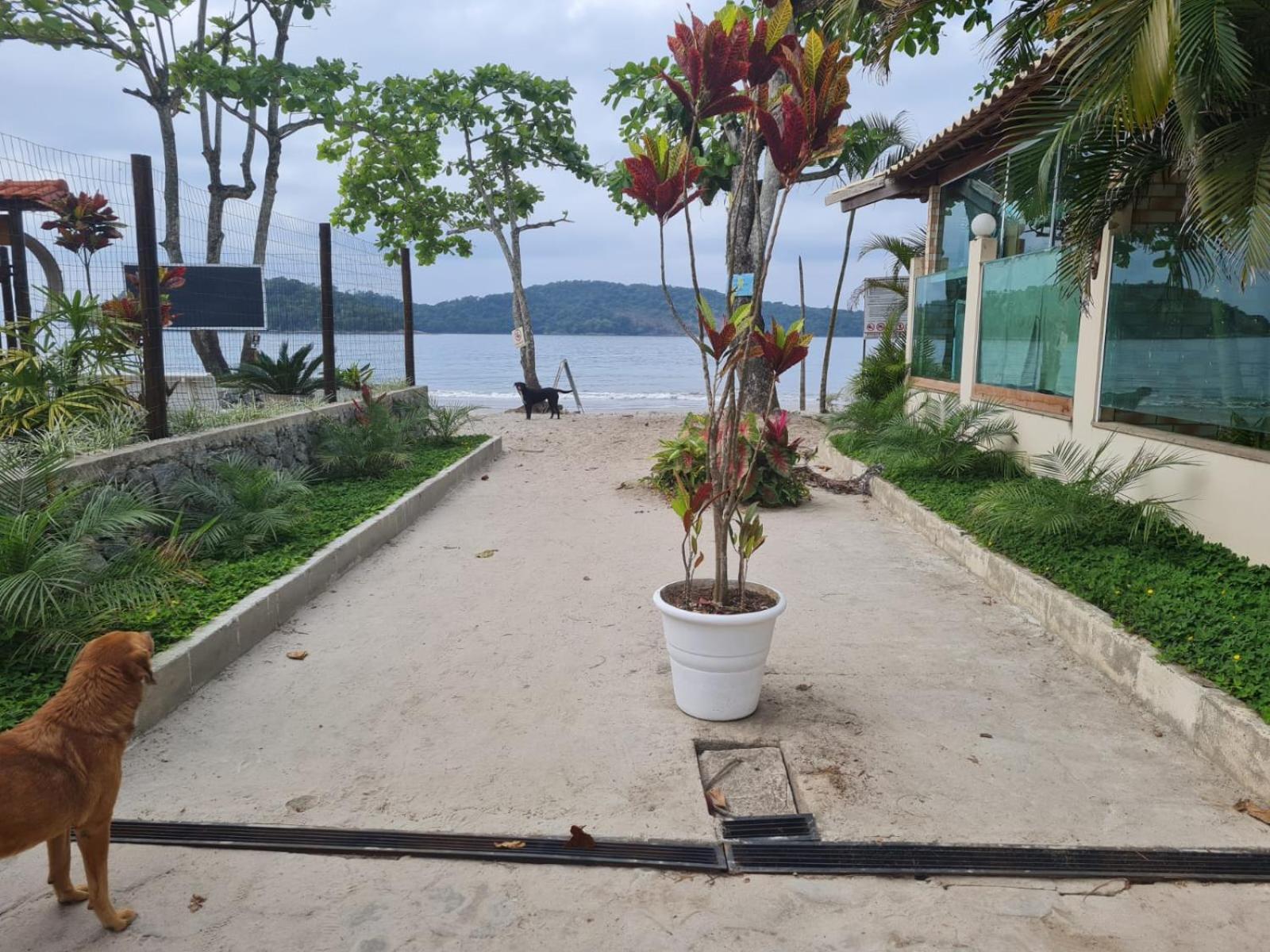 Orquideas Inn Paraty